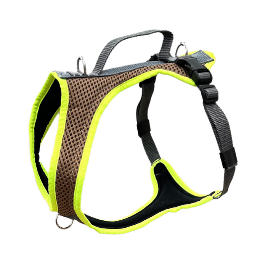 Dog's FunRun - Standard mit Brustring (XS) in beige/leuchtgelb - Sonderfarben