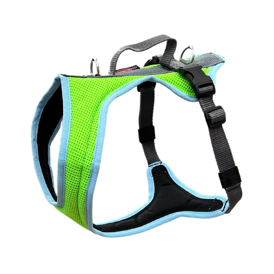 Dog's FunRun - Standard mit Brustring (2XS) in türkis/giftgrün - Sonderfarben