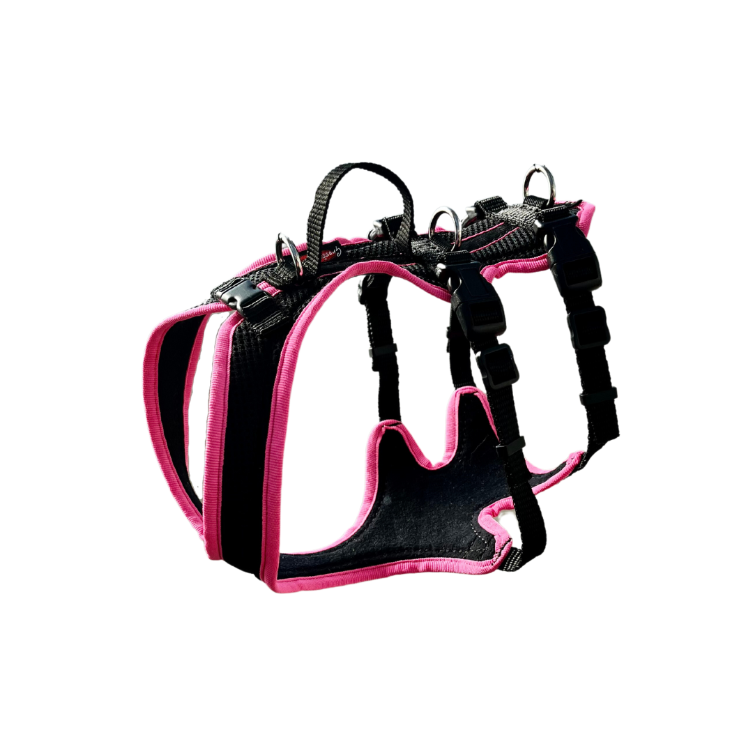 Dog's Fun Run Support ohne Brustring - Sonderposten