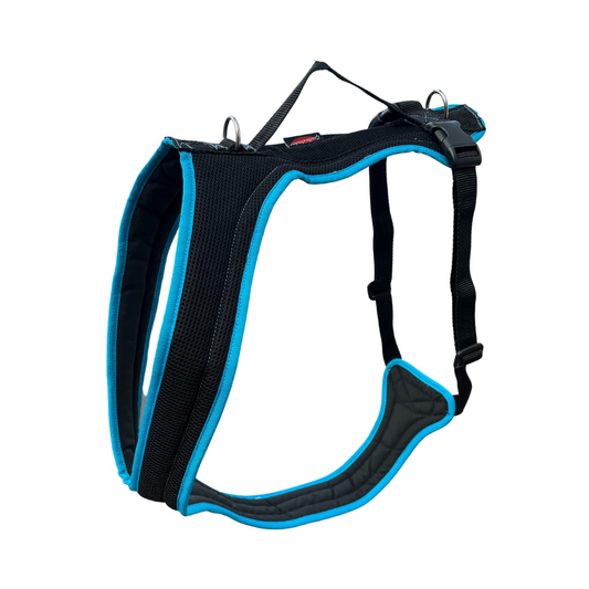 Dog's FunRun - Standard Dogge ohne Brustring - Sonderposten