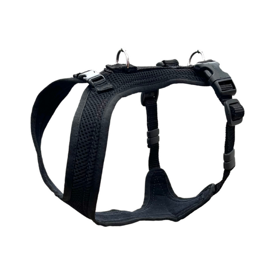 Dog's FunRun Jagdhund- Standard + Brustring - Sonderposten