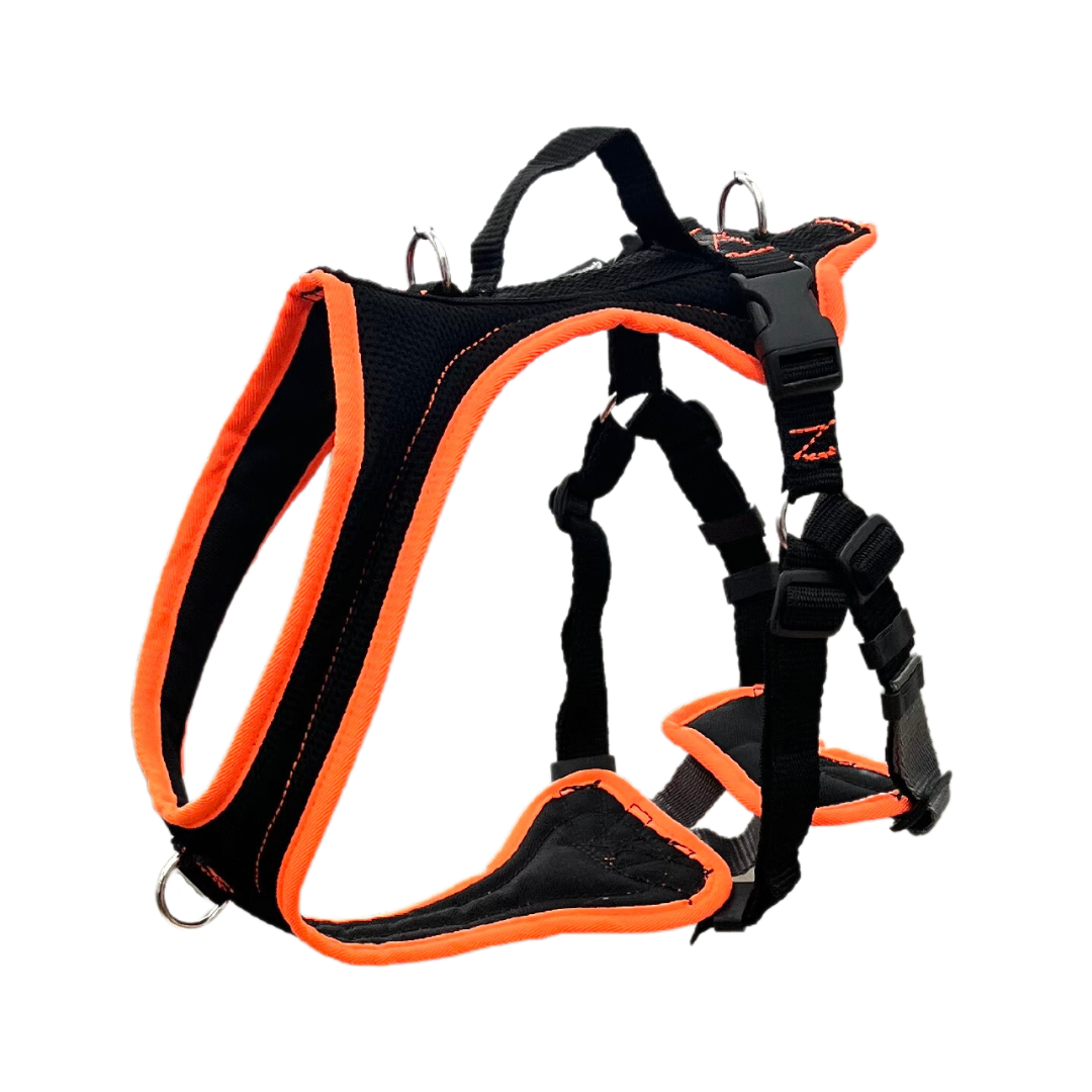 Ausbildungsgeschirr Pro Guide- Sonderposten