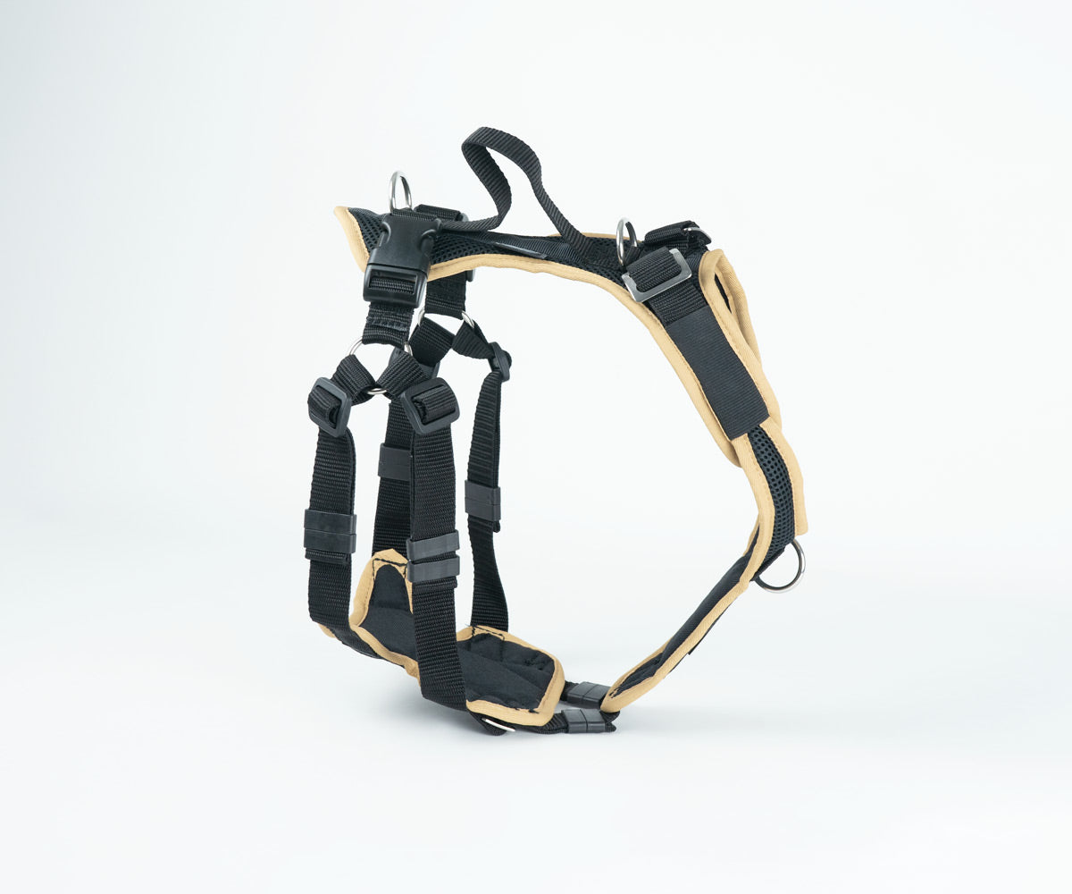 Ausbildungsgechirr VARY ProGuide + Brustring