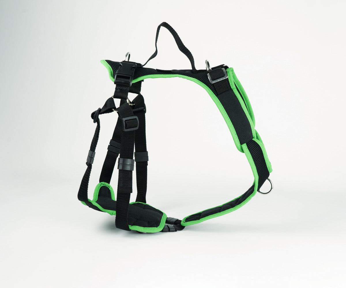 Ausbildungsgechirr VARY ProGuide + Brustring