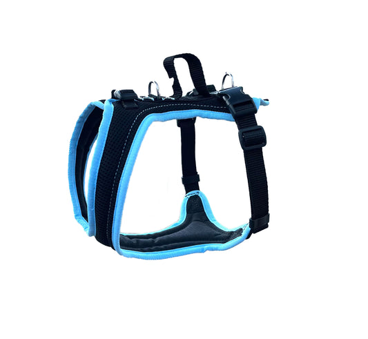 Dog's FunRun - Standard Bulldogge ohne Brustring - Sonderposten