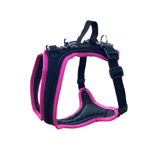 Dog's FunRun - Standard Bulldogge ohne Brustring - Sonderposten