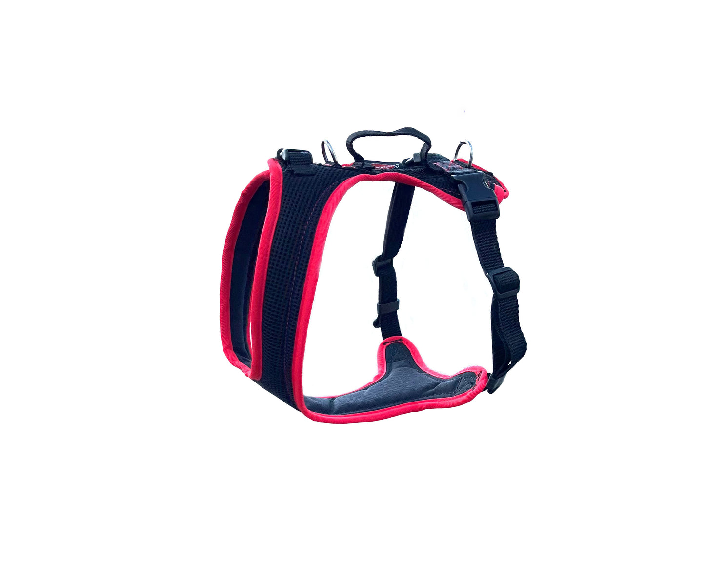 Dog's FunRun - Standard Bulldogge ohne Brustring - Sonderposten