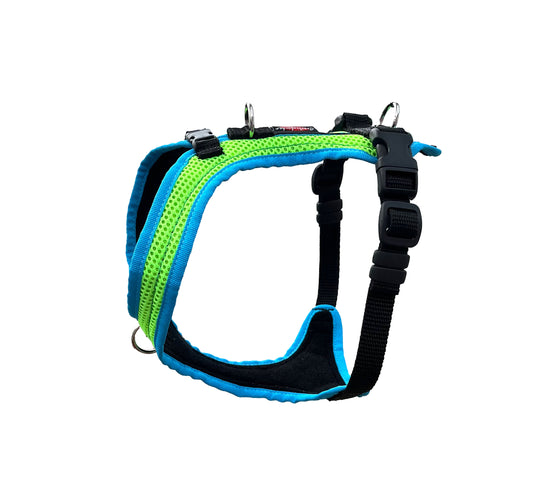 Dog's FunRun - Standard mit Brustring (5XS) in giftgrün/türkis - Sonderfarben