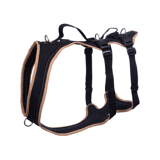 Dog's FunRun - Support + Brustring (3XL Variante)