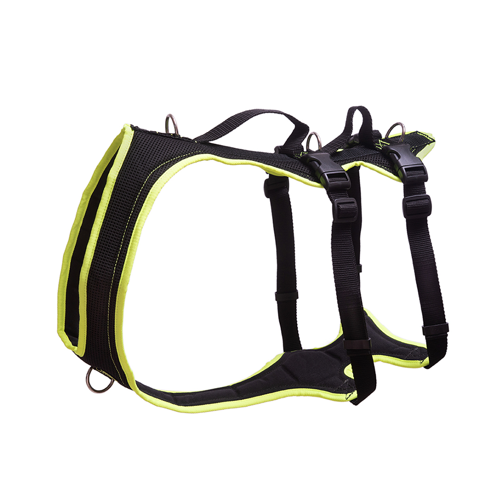 Dog's FunRun - Support + Brustring (2XL Variante)