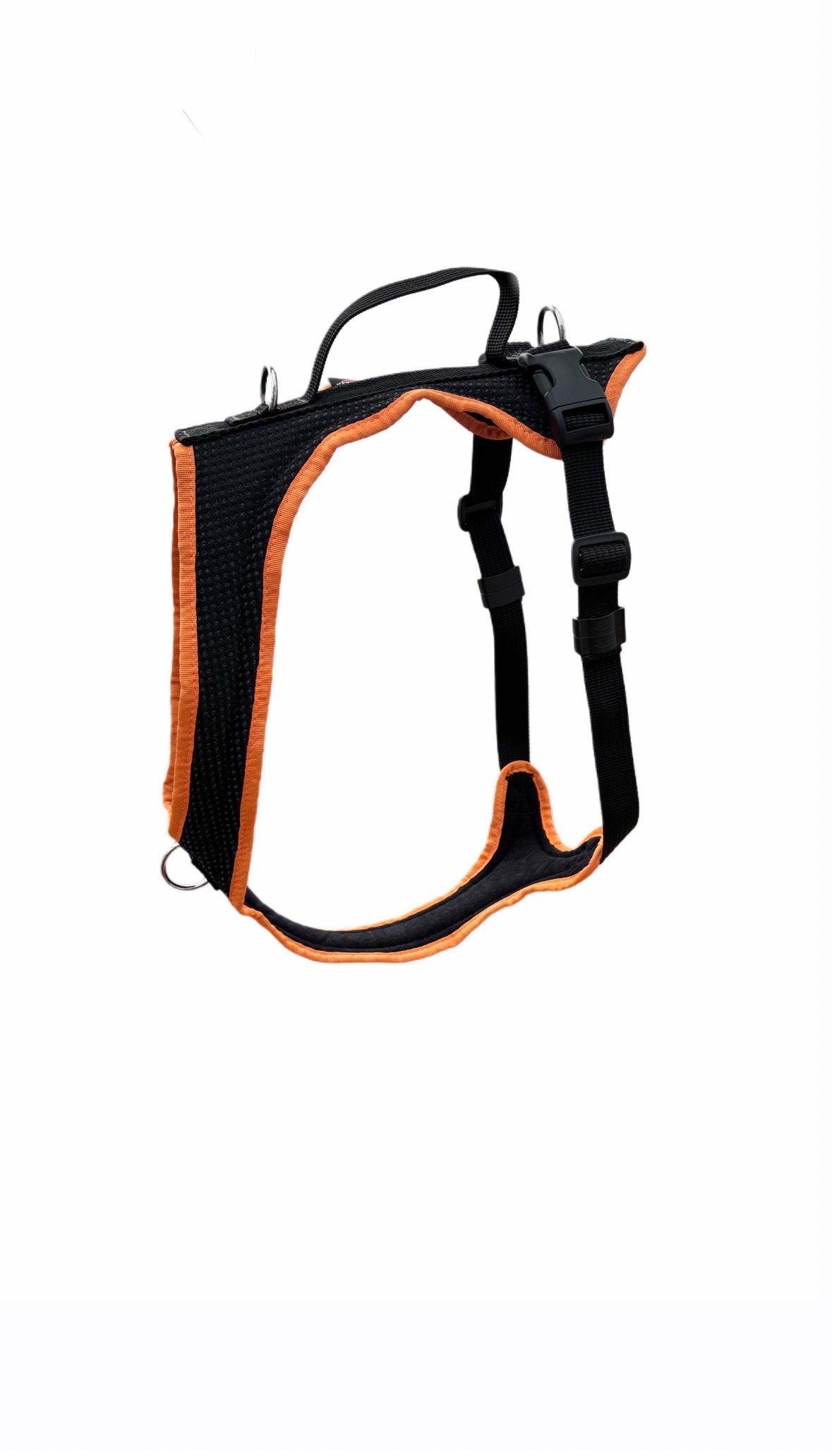 Dog's FunRun - Standard + Brustring (M Variante)