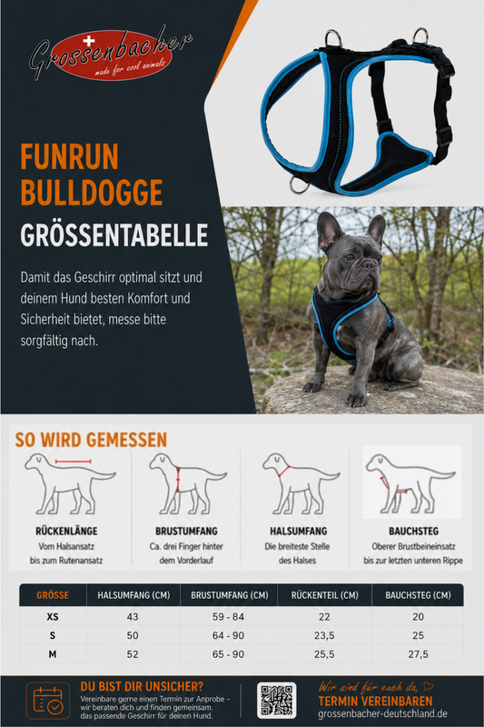 Dog's FunRun Bulldogge