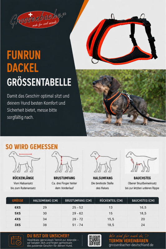Dog's FunRun Dackel + Brustring