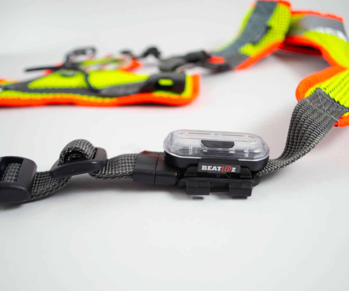 Mantrailing-Geschirr mit Reflektor, Laufrolle und LED. V-Geschirr in Leuchtorange/Leuchtgelb.
