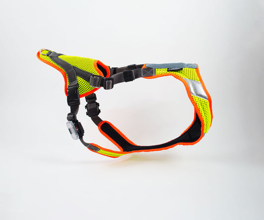 Mantrailing-Geschirr mit Reflektor und LED. V-Geschirr in Leuchtorange/Leuchtgelb.
