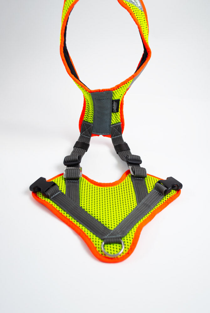 Mantrailing V Geschirr mit LED optional mit Laufrolle