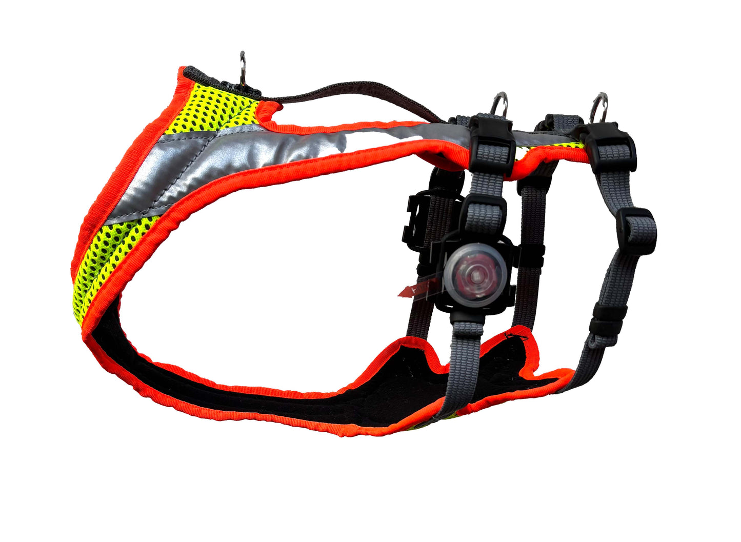 Dog's FunRun Night Windhund ohne Brustring 3XS - Sonderposten