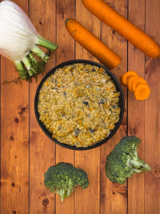 BARF Lachs mit Gemüse 2 x 250 g