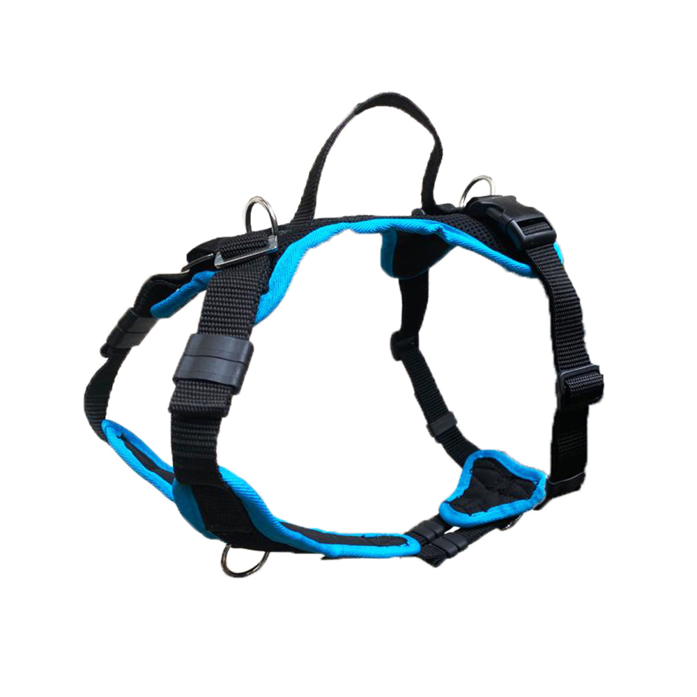 Welpengeschirr Popp-It + Brustring