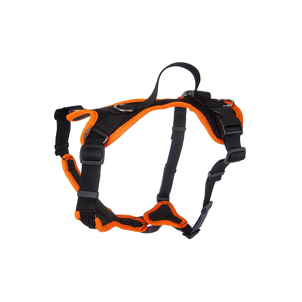 Welpengeschirr Popp-It + Brustring