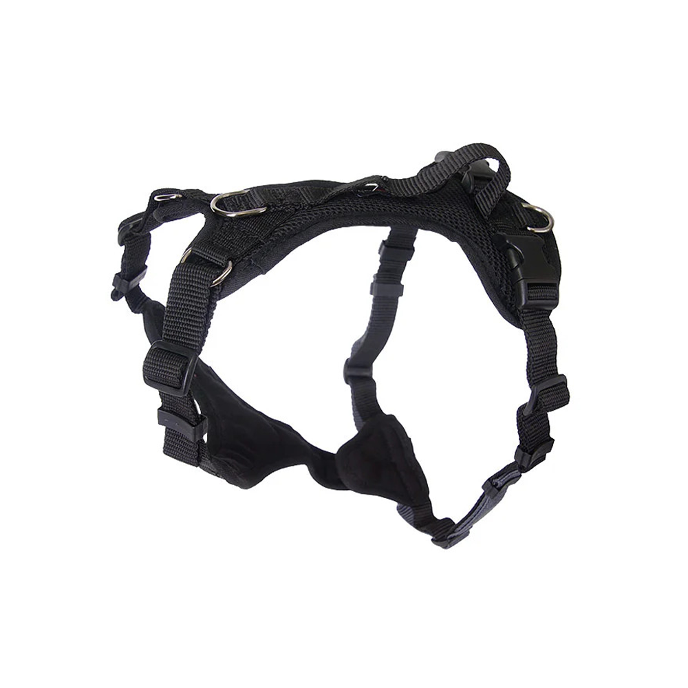 Welpengeschirr Popp-It + Brustring