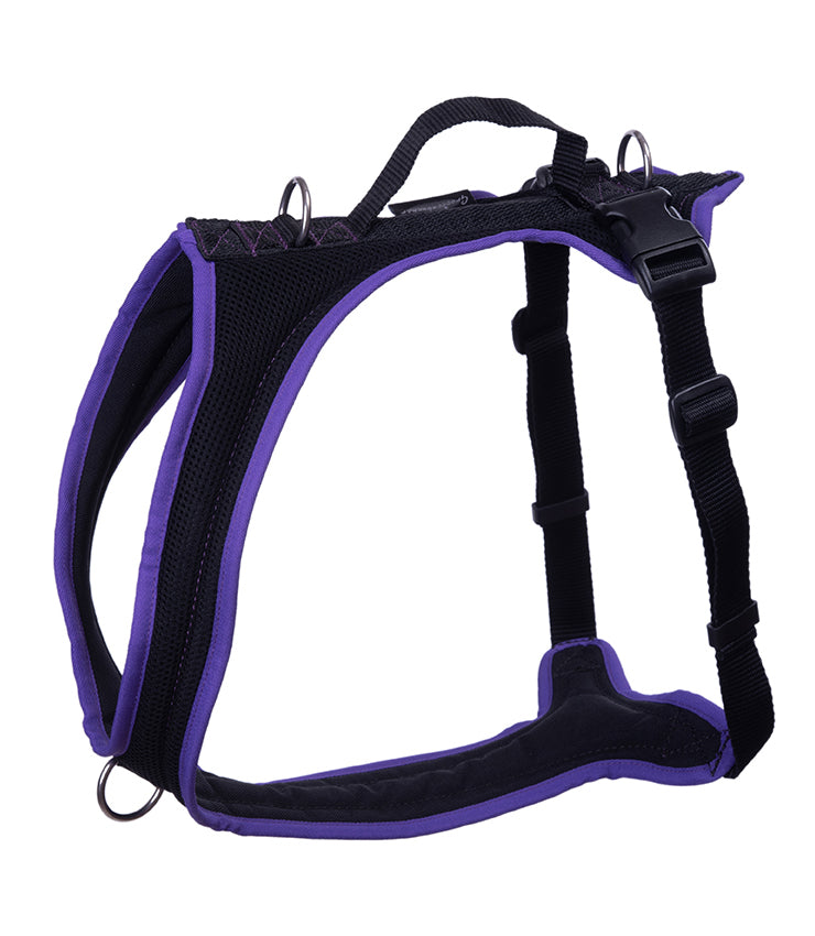 Dog's FunRun - Standard + Brustring (M Variante)