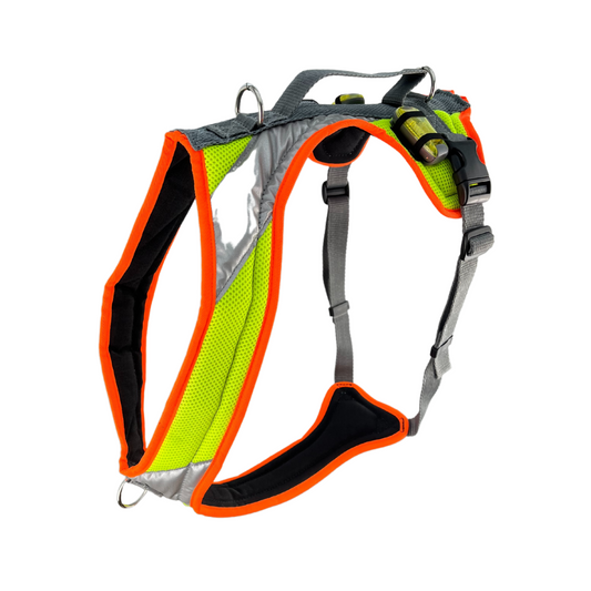 Dog's FunRun Night - Standard + Brustring - Sonderposten