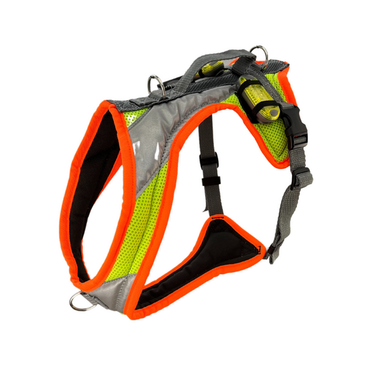 Dog's FunRun Night - Standard + Brustring - Sonderposten