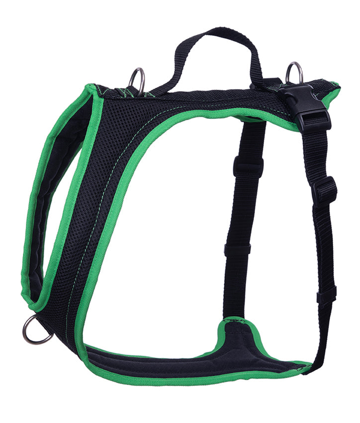 Dog's FunRun - Standard + Brustring (L Variante)