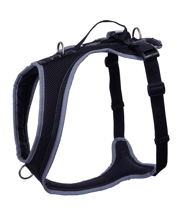 Dog's FunRun - Standard + Brustring (3XS Variante)