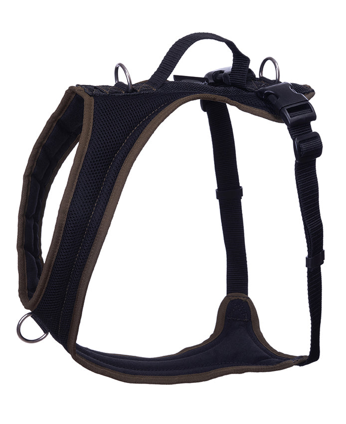 Dog's FunRun - Standard + Brustring (L Variante)