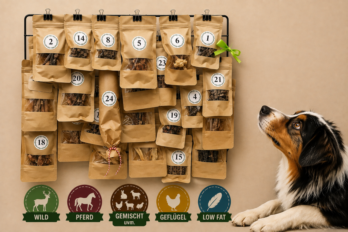 Adventskalender by fithound limitiert