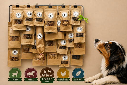 Adventskalender by fithound limitiert