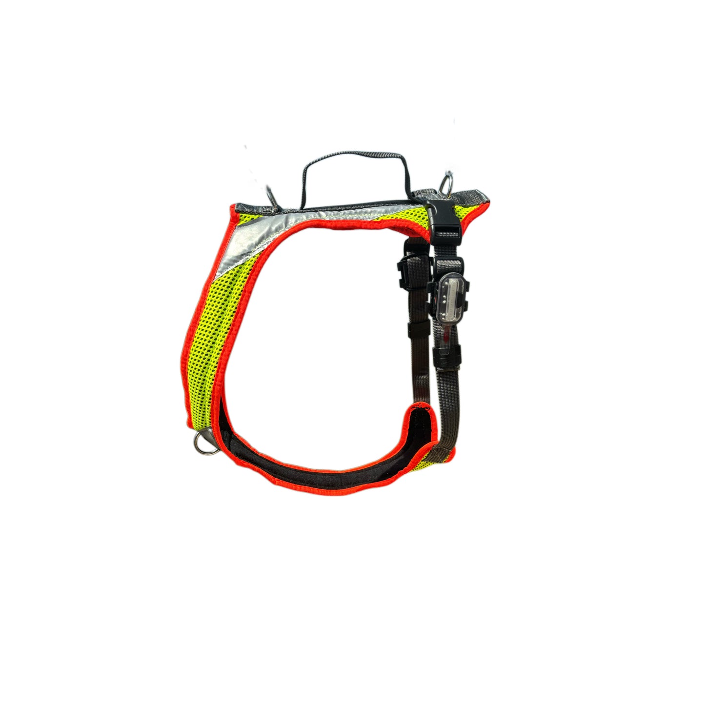 Dog's FunRun - Standard + Brustring (2XL Variante)