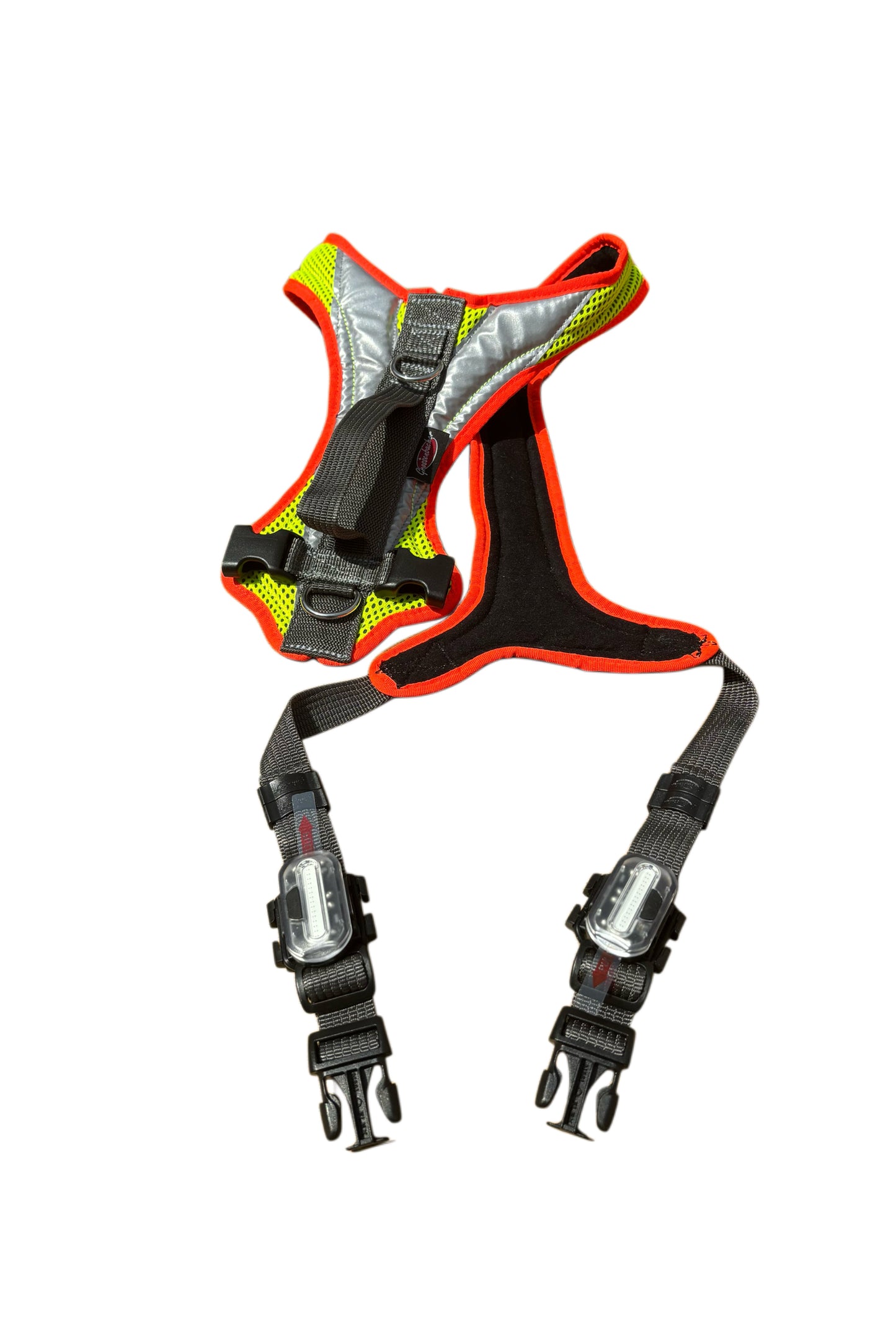 Dog's FunRun - Standard + Brustring (L Variante)