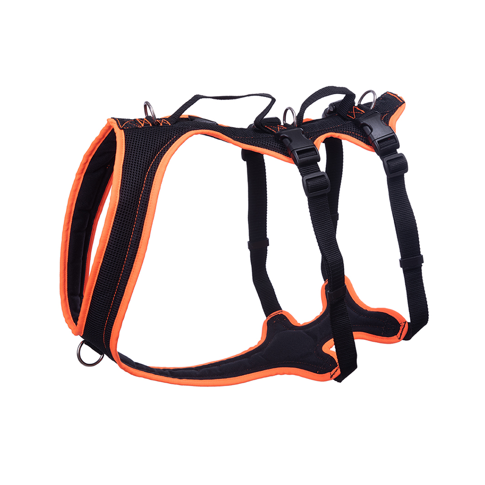 Fun Ru Dog's FunRun - Support + Brustring (3XL Variante) – Grossenbacher Geschirre