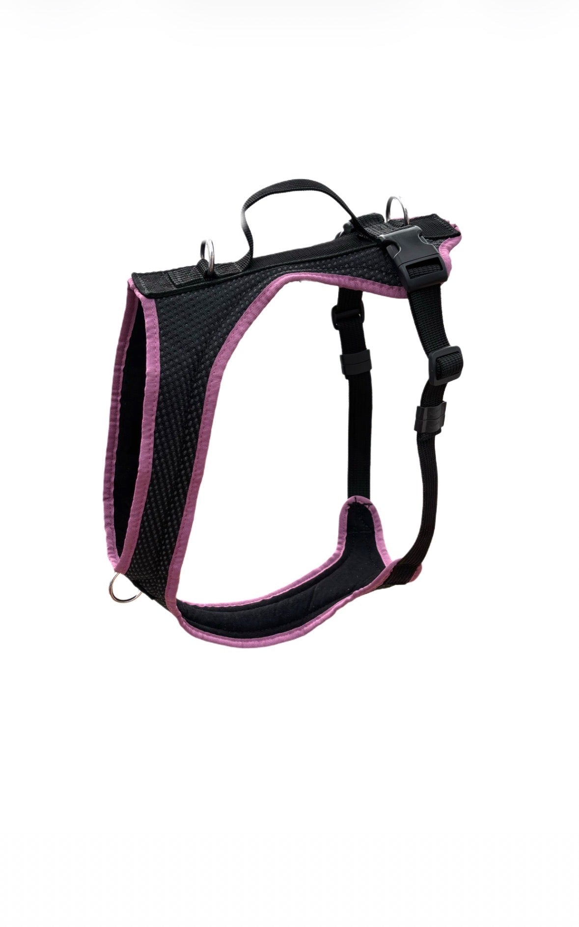 Dog's FunRun - Standard + Brustring (M Variante)