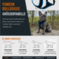 Dog's FunRun Bulldogge