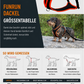Dog's FunRun Dackel + Brustring