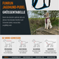 Dog's FunRun Jagdhund-Pudel + Brustring