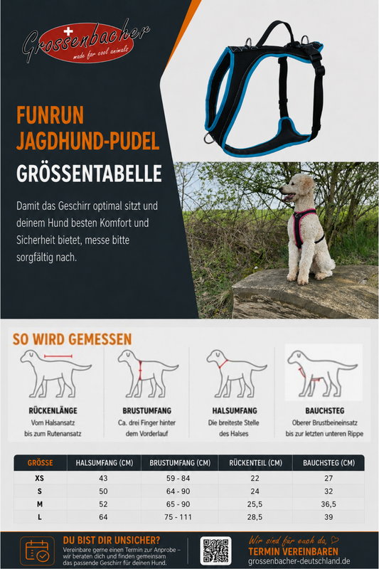 Dog's FunRun Night Jagdhund-Pudel + Brustring