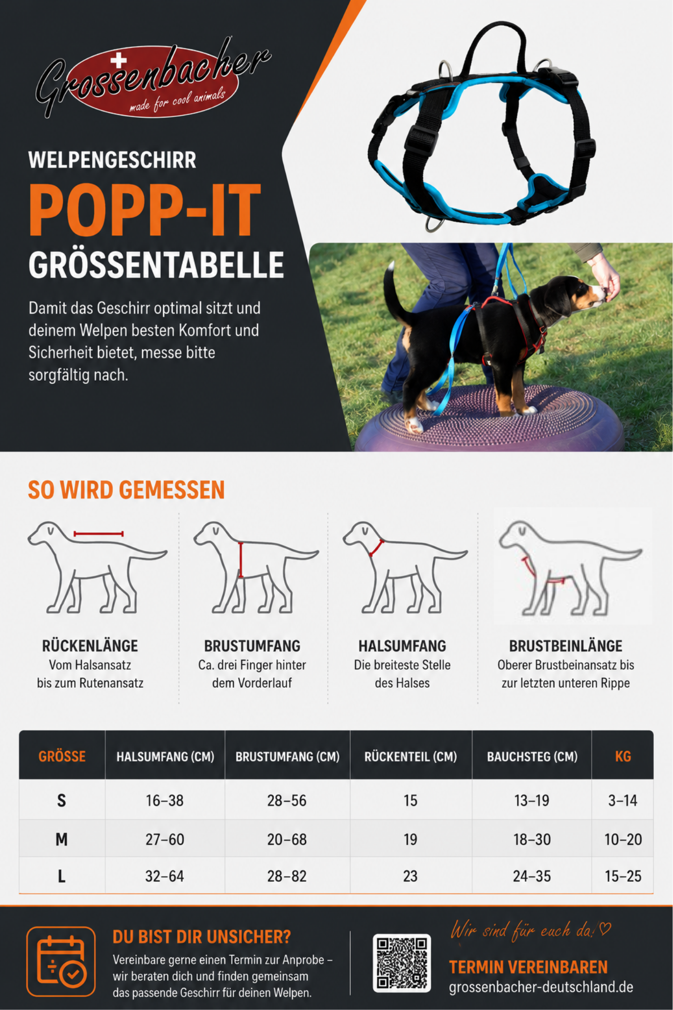 Welpengeschirr Popp-It + Brustring