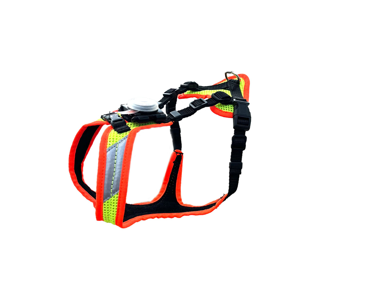 Mantrailing V Geschirr mit LED optional mit Laufrolle