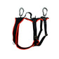 Dog's FunRun - Travel Xtreme + Brustring