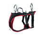 Dog's FunRun - Travel Xtreme + Brustring