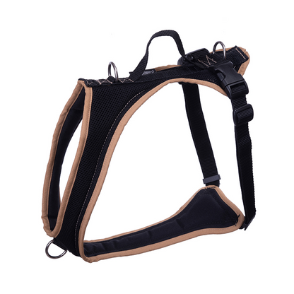Dog's FunRun - Standard + Brustring (L Variante)