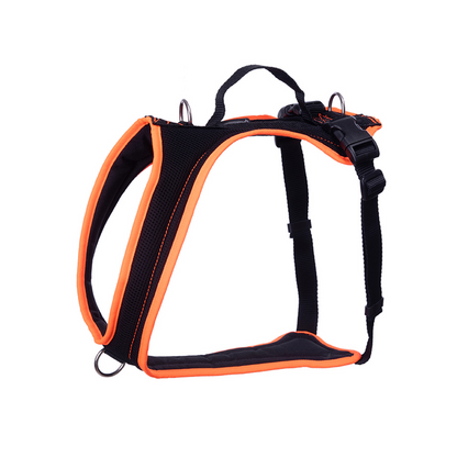 Dog's FunRun - Standard + Brustring (XS Variante)