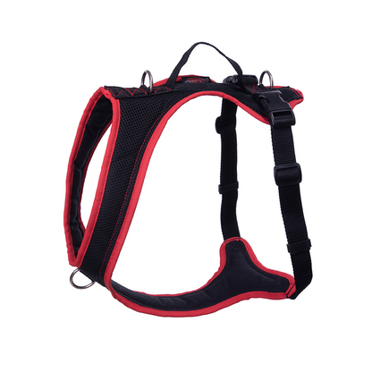 Dog's FunRun - Standard + Brustring (S Variante)