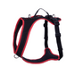 Dog's FunRun - Standard + Brustring (4XS Variante)