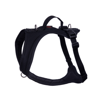 Dog's FunRun - Standard + Brustring (3XS Variante)